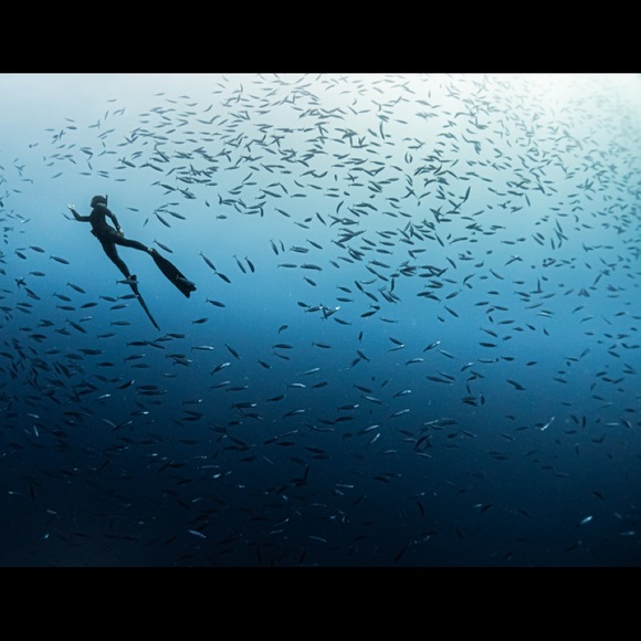 Meet your Posher, Jessica - Picture 3 of 8